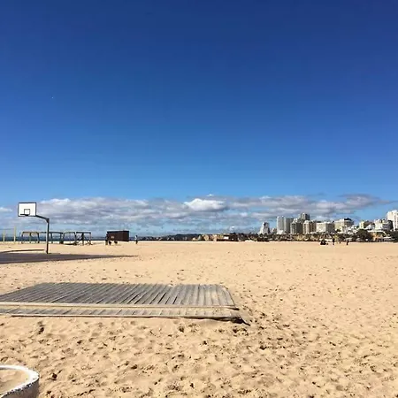 Holidays Relax
